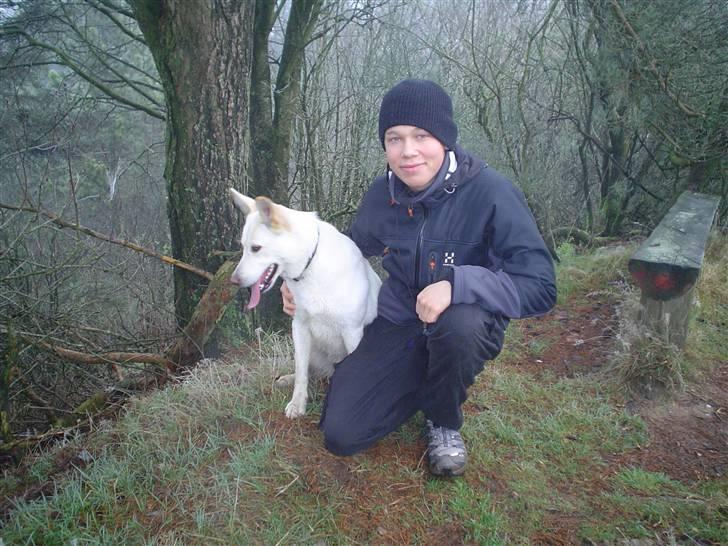 Mand Mads Larsen - mig og min skøre hund (sille) billede 1