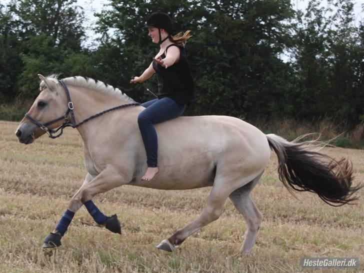 Kvinde LINE ANDERSEN * - Ellegaards Tjørn & mig, en galop over marken i kun grime :) billede 2