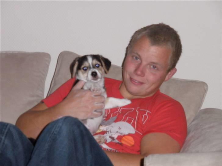 Mand johnny murer billede 4