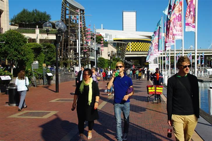 Mand Emil Broberg billede 6