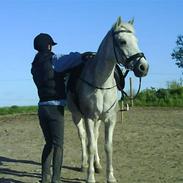 Kvinde Anika