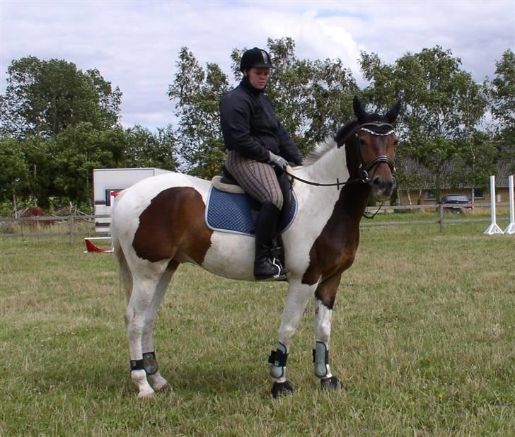 Kvinde Rikke - mig og min nye hest (: billede 10