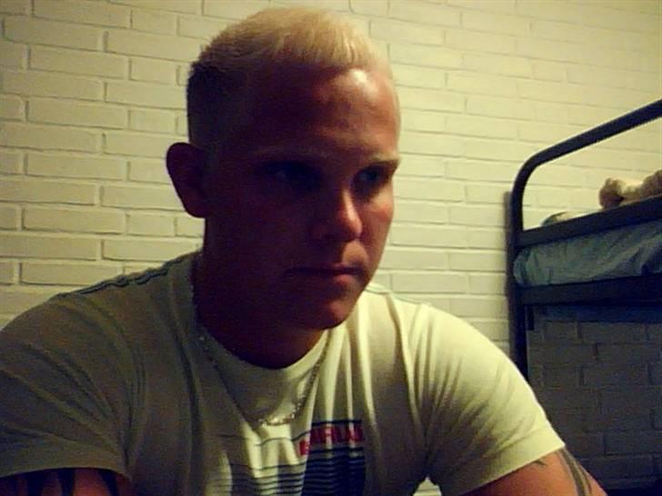 Mand Steffan billede 7