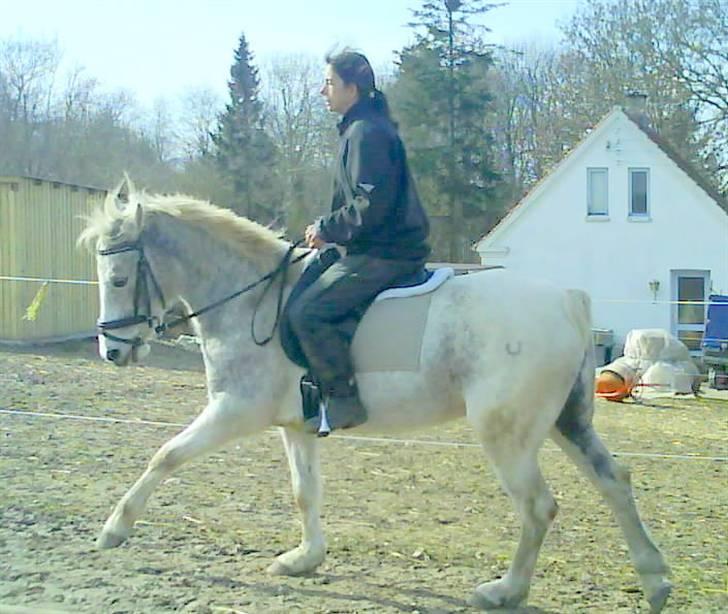 Kvinde Anika billede 4
