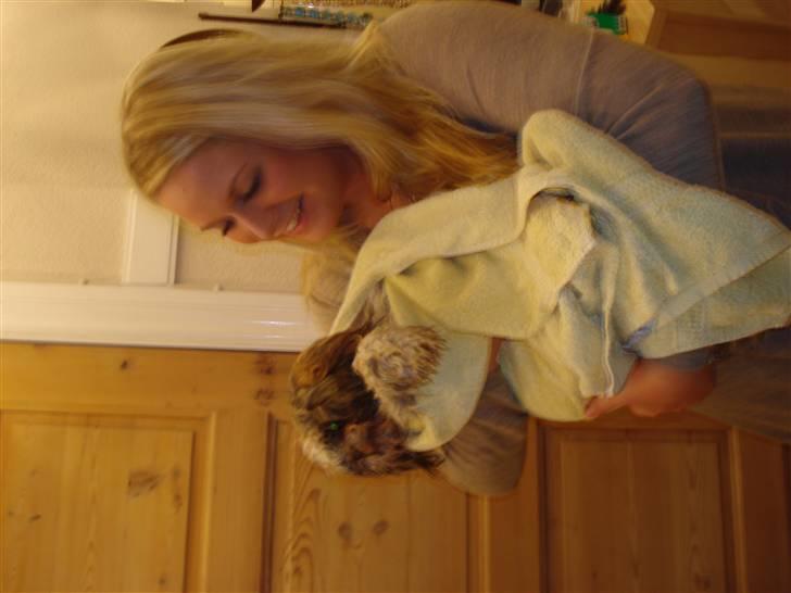 Kvinde Kristine-Sofie billede 5