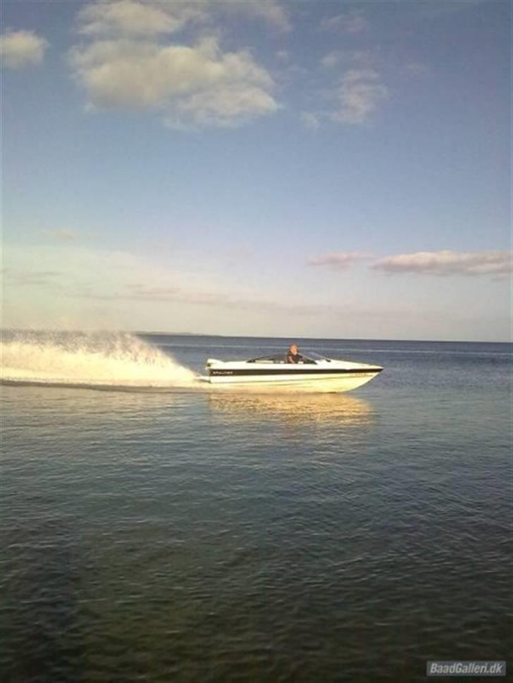 Mand Patrick Rasmussen  - min fritidsbeskæftigelse billede 7