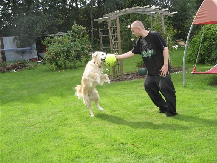 Mand Nikolaj billede 9