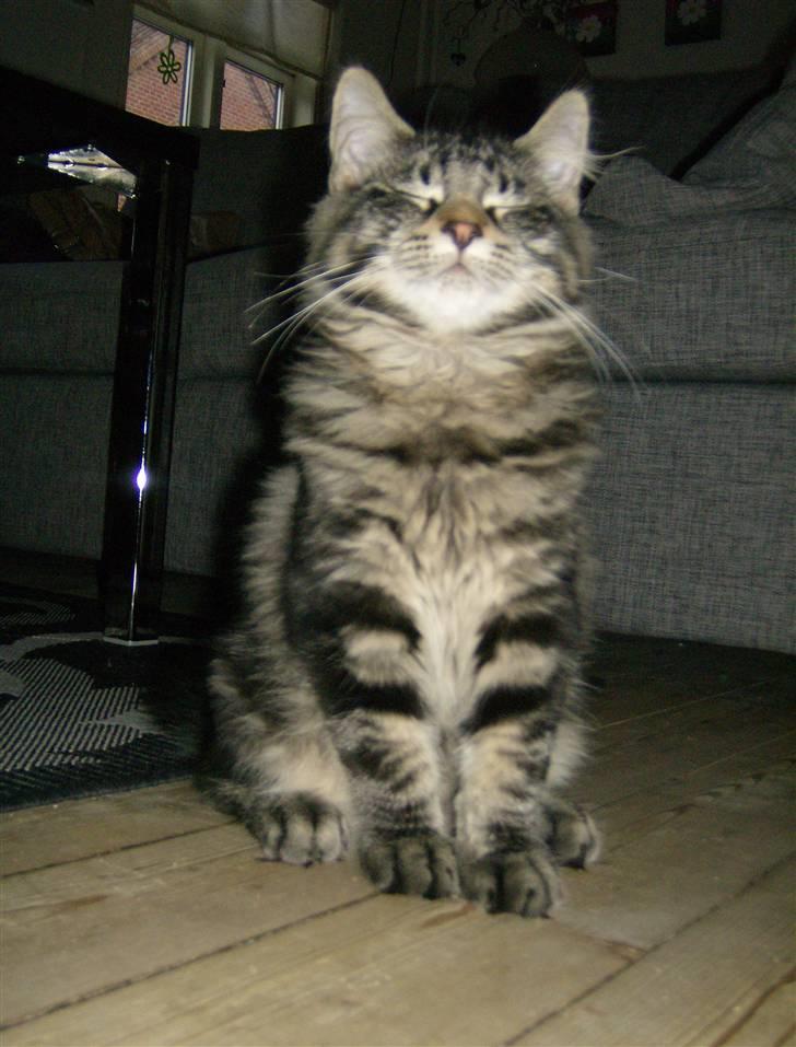 Kvinde Louise billede 3