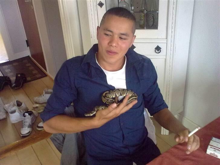 Mand calopez billede 6