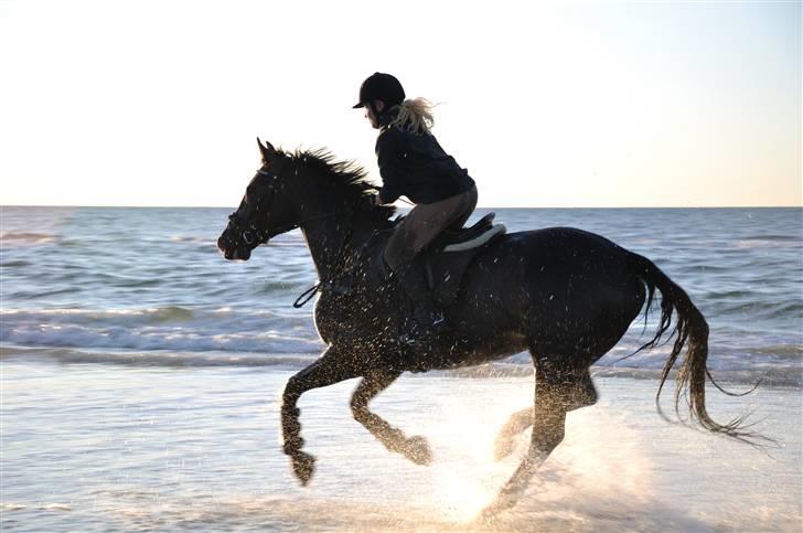 Kvinde Ditte - Min hest, Giza & jeg på stranden september 2010.  billede 9