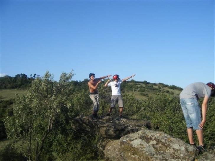 Mand Mikkel billede 6