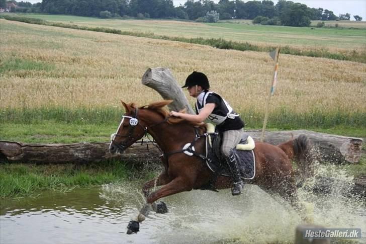 Kvinde Nicoline - 4, mit liv <3 billede 4