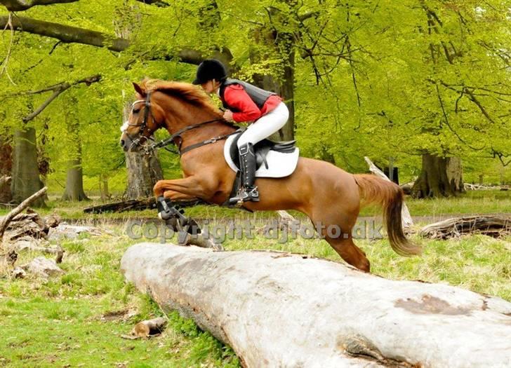 Kvinde Nicoline - 8, BILLEDET ER KØBT!  :D Jagt på Mattsons! Fuldførte <3 billede 8