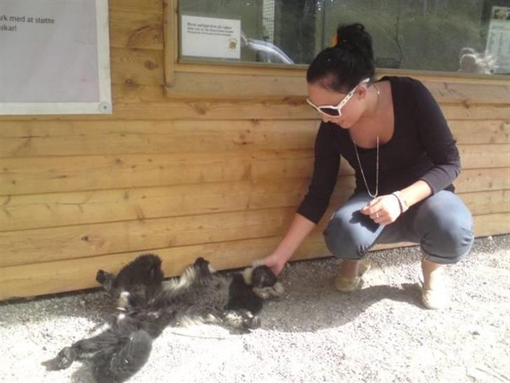 Kvinde Louise billede 6