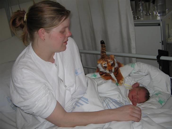 Kvinde Yankee aka Katja - Min store dreng få timer efter han blev født d. 03/03-06 kl. 04.35 billede 18