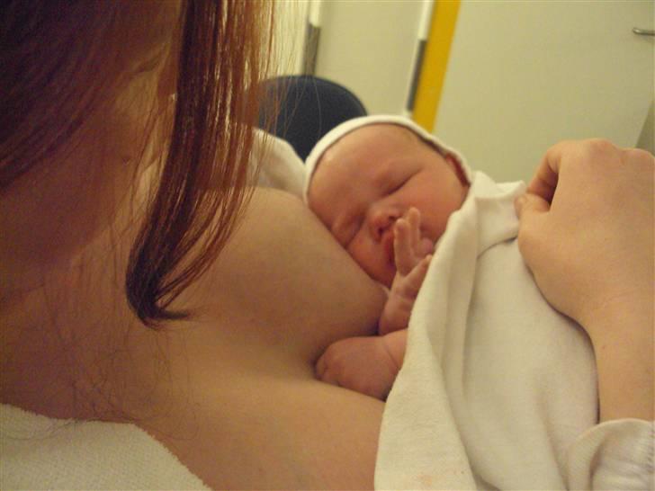 Kvinde Yankee aka Katja - Min lille dreng lige da han blev født d. 11/11-09 kl 16.53 billede 19