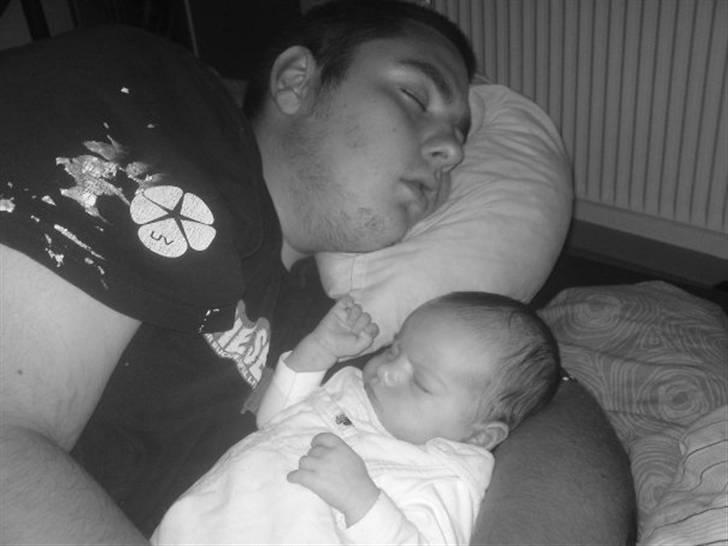 Mand Steffan billede 9