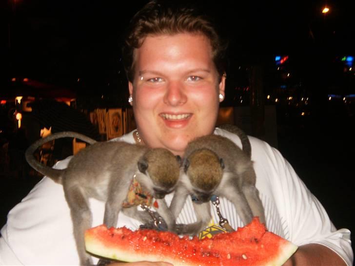 Mand Johan billede 2