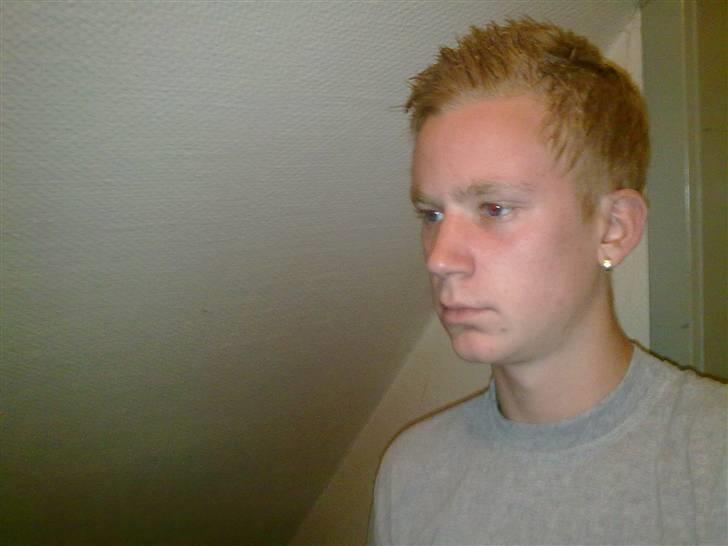 Mand Mikkel Hvas Plougmann billede 5