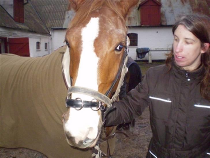 Kvinde Stine billede 3