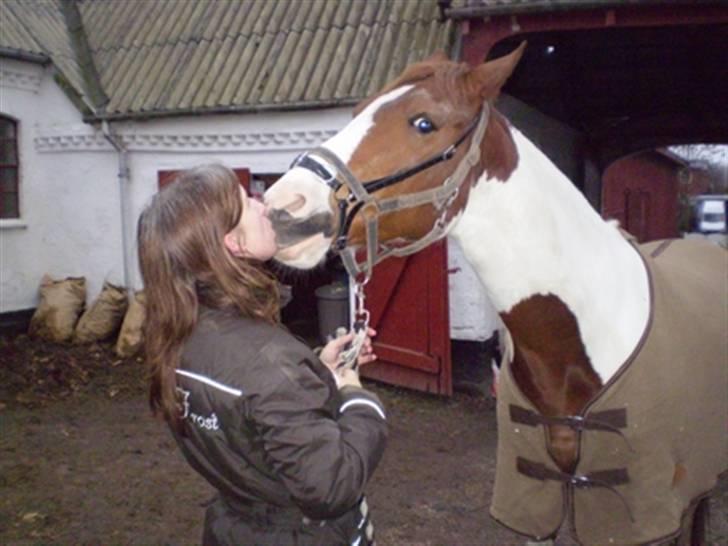 Kvinde Stine billede 7