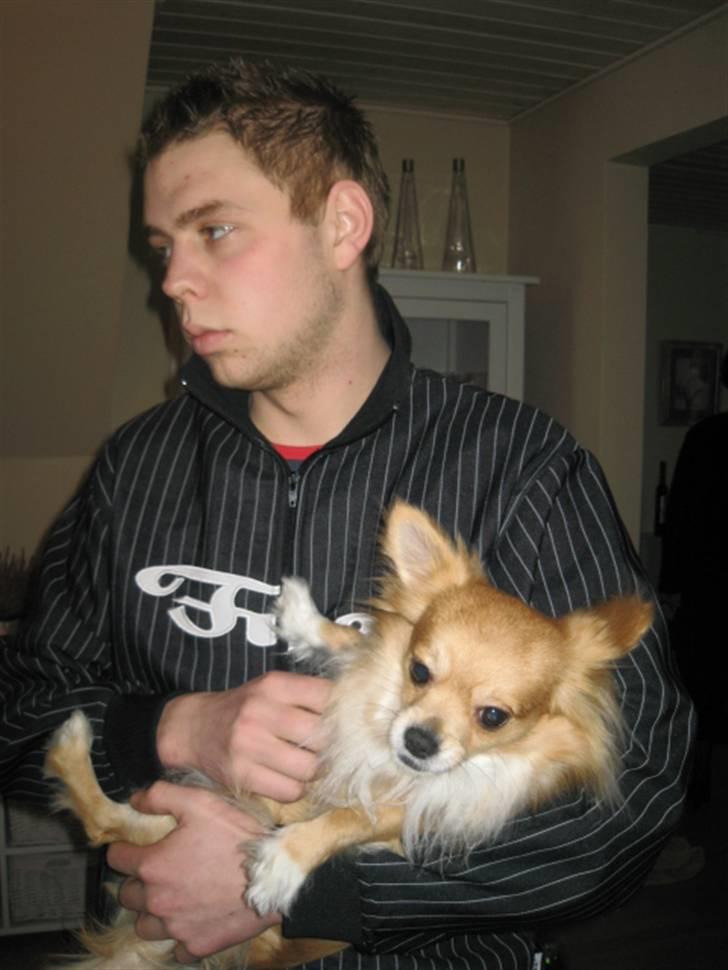 Mand Kristian Bull Larsen billede 6