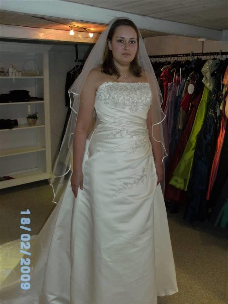 Kvinde Nette - Det SKULLE bare være den - men øv så blev det ikke den alligevel billede 10