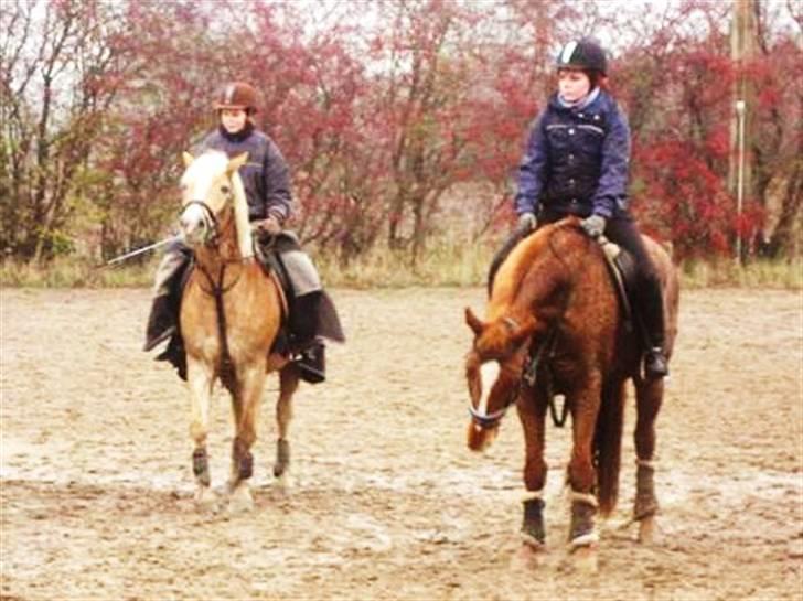 Kvinde Helle Andersen - Efter hubertusjagt på ROOR(mig på den røde DV) 2009 billede 6