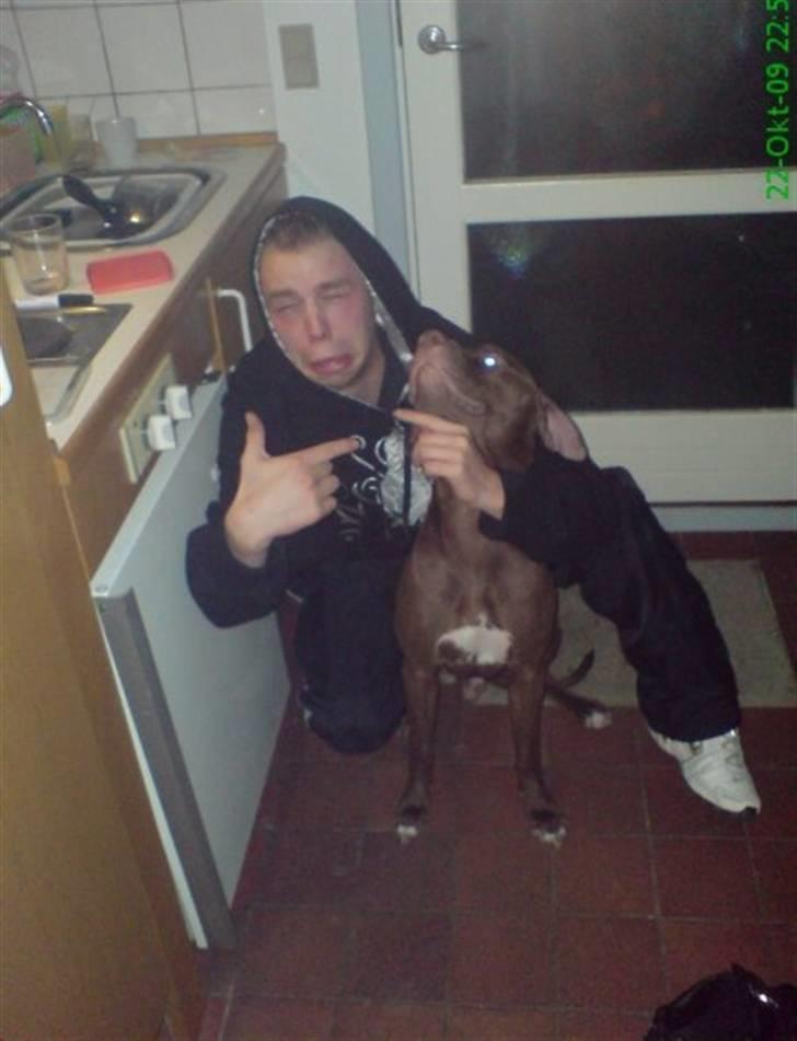 Mand Kristian Bull Larsen - gør grin med dem der plejer at skal sidde og spille smarte med deres hunde :o) billede 16
