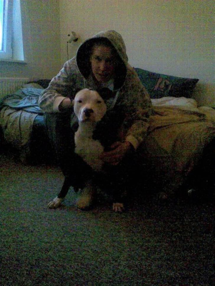 Mand Daniel C billede 8