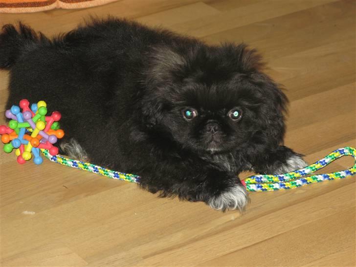 Kvinde Sandra - aja :) billede 10