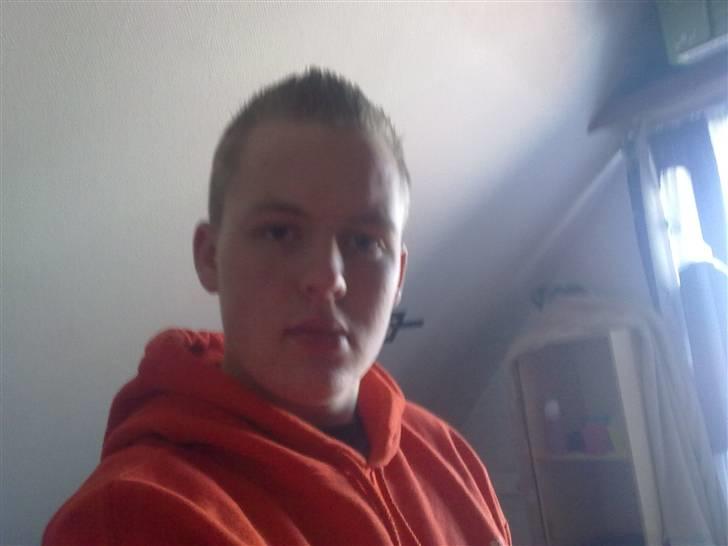 Mand asbjørn billede 3