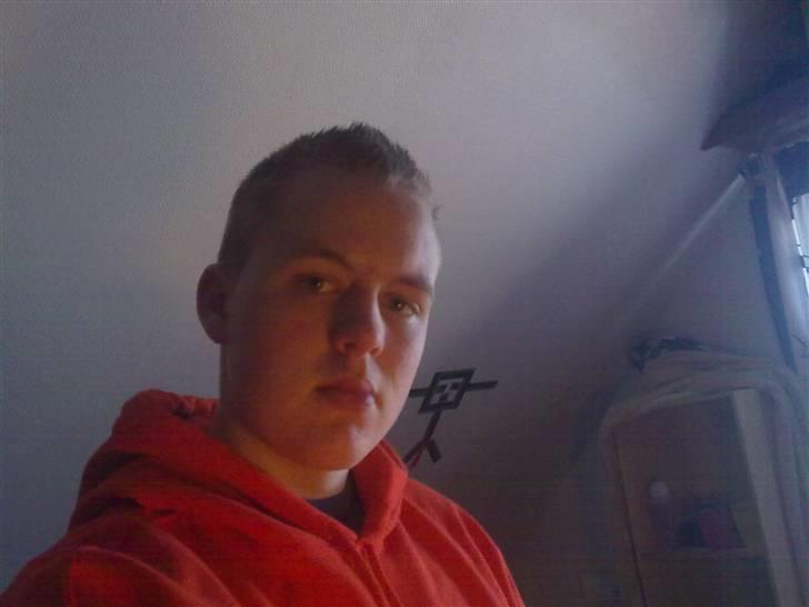 Mand asbjørn billede 4