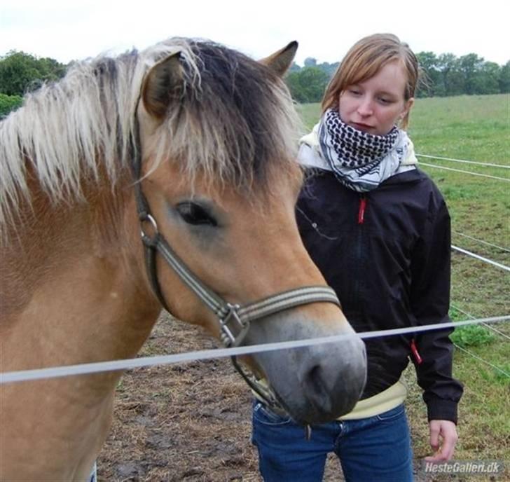 Kvinde Michelle - Mig og min gamle Hingst Antom ..  billede 10