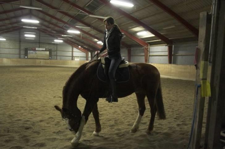 Kvinde Michelle - Mig Og Justin .. (En hest jeg engang red lidt ) billede 11