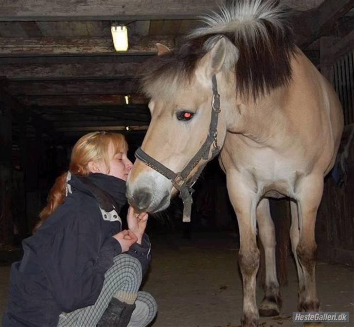 Kvinde Michelle - Mig og min hoppe Mims billede 9