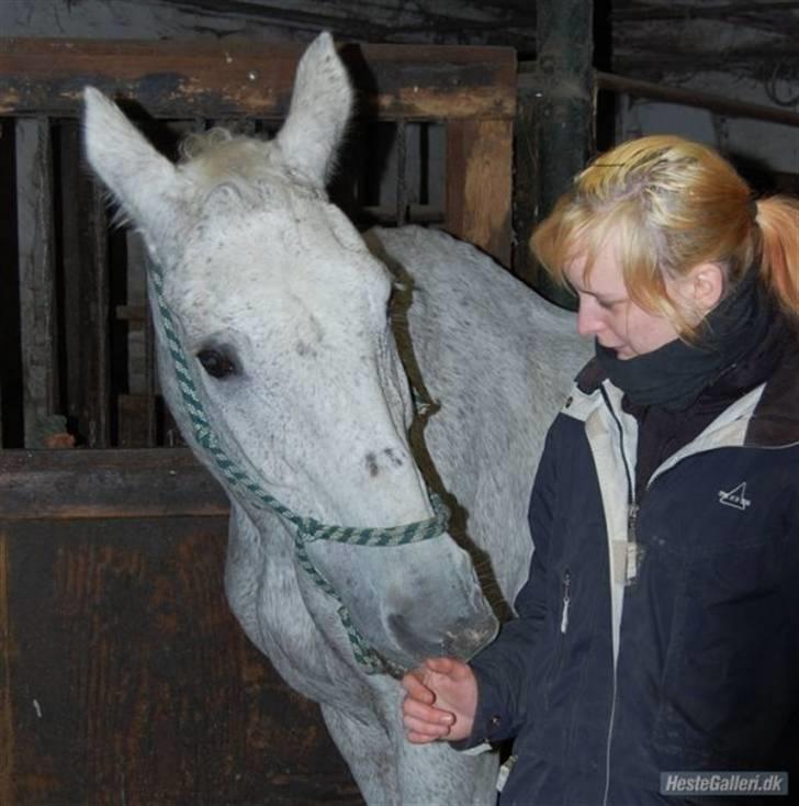 Kvinde Michelle - Mig og min gamle hoppe, Silvana .. (R.I.P) billede 8