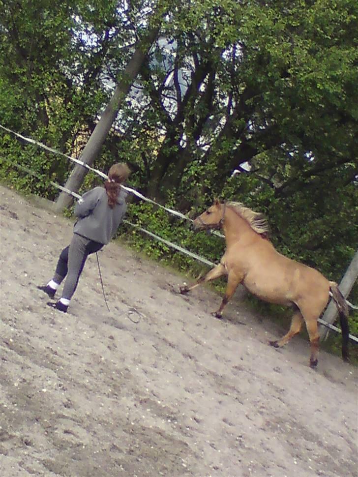 Kvinde Chriiz billede 3