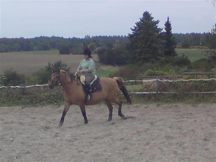 Kvinde Chriiz billede 9