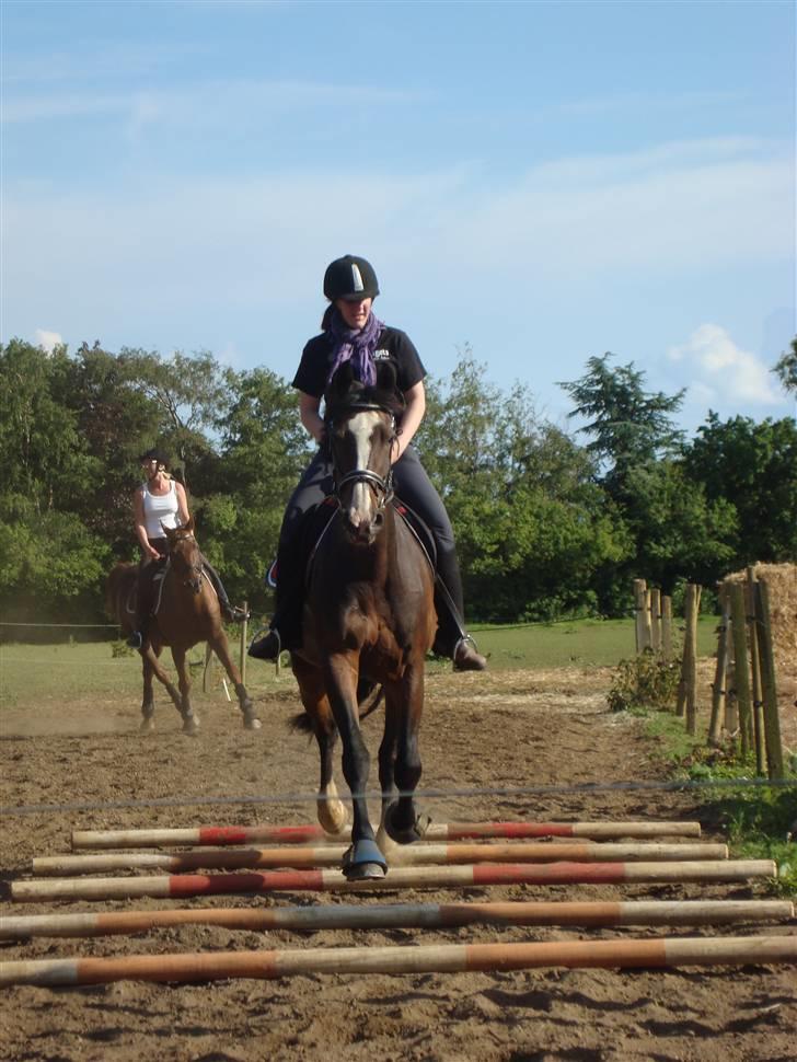 Kvinde Rose - Vi flyver ;D billede 13