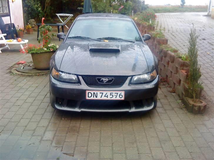 Mand Nicolaj Colbe - roder med lidt af det hele der hjemme billede 5