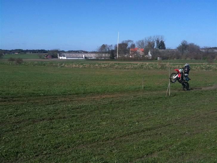 Mand Emil Timmermann billede 6