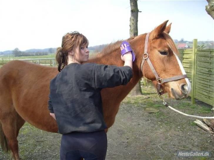 Kvinde Charlotte - Mig med min gamle pony! som hedder Destiny! og Kan findes på Hestegalleriet billede 3