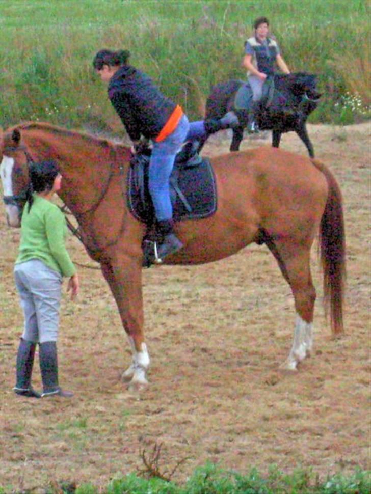 Kvinde Charlotte - Mig som er på vej op på ib ;D! den var sgu halv stor ;D billede 4