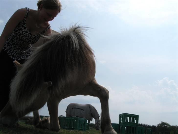 Kvinde Milla - Min smukke gule cirkuspony.. Altid et hit til børnefødselsdage og hun ææælsker børn :) Den "lille" hest passer bare super ind..  billede 7