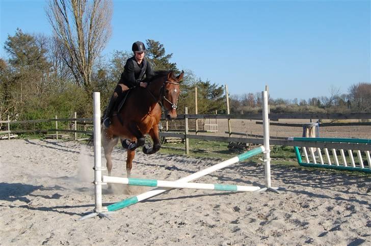 Kvinde Mette  billede 11