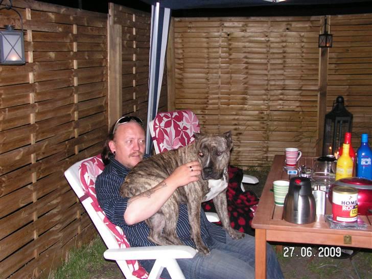 Mand Bo Olesen billede 5