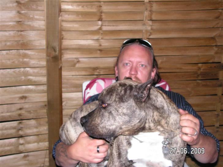 Mand Bo Olesen billede 6