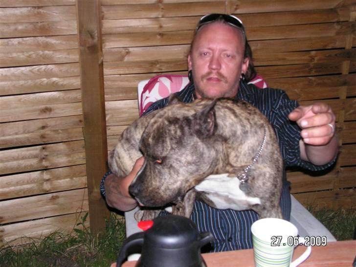 Mand Bo Olesen billede 7