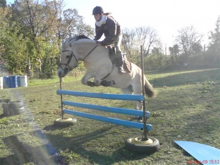 Kvinde Amanda B - min gamle pony og jeg  billede 3